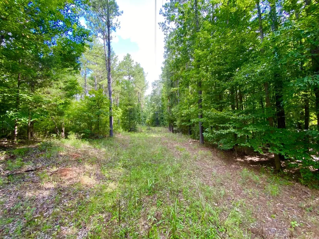 0 Highway 5 Marion AL 36756