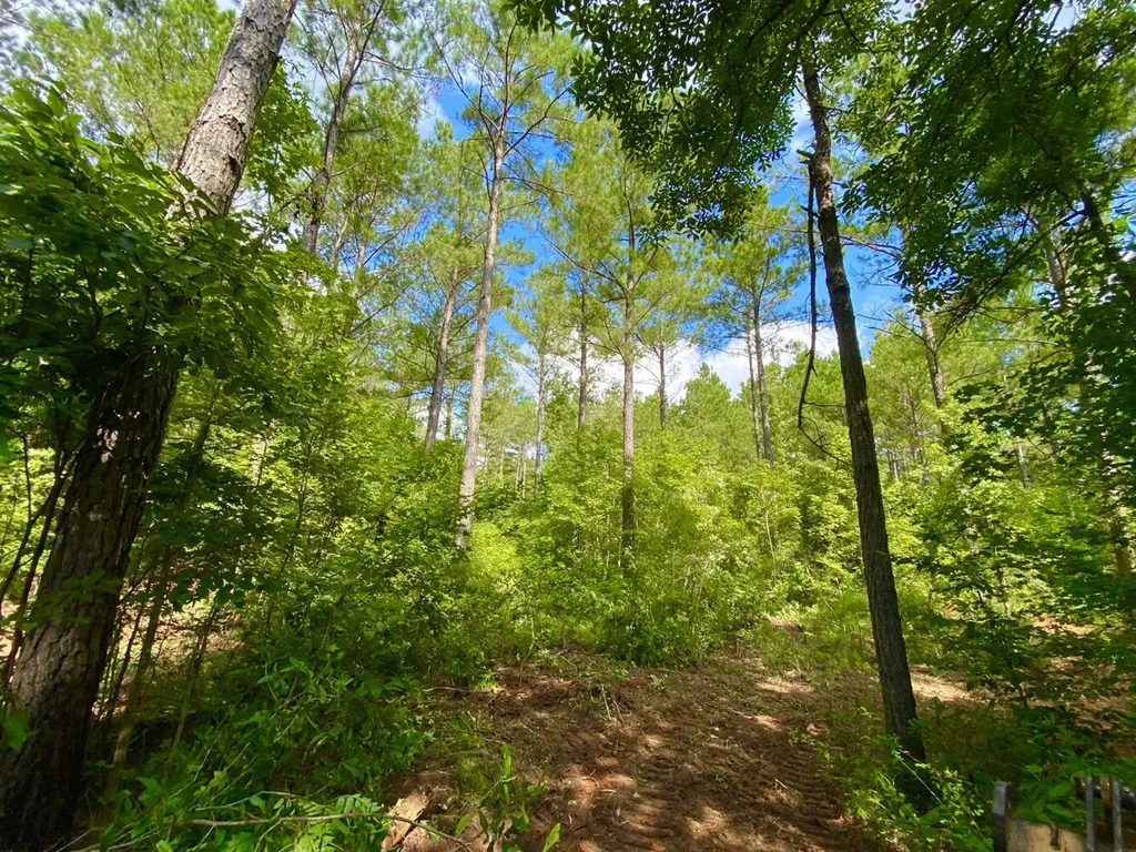 0 Highway 5 Marion AL 36756