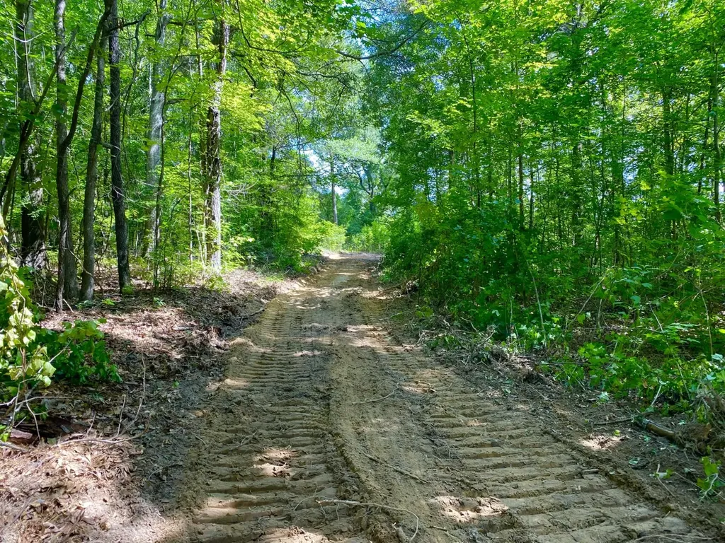 0 Highway 5 Marion AL 36756