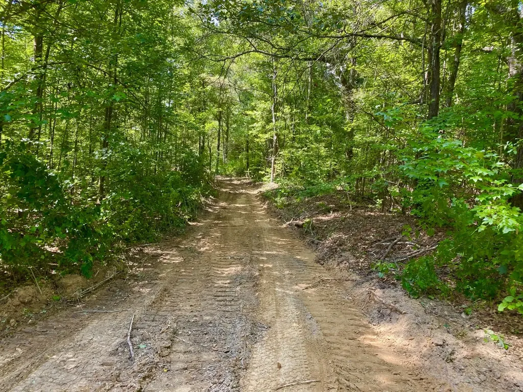 0 Highway 5 Marion AL 36756