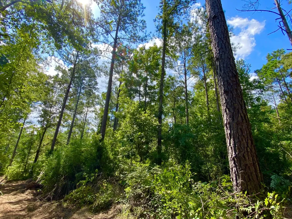 0 Highway 5 Marion AL 36756