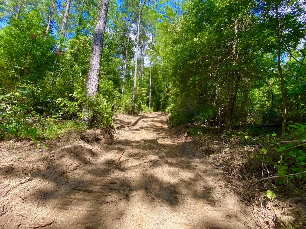 0 Highway 5 Marion AL 36756