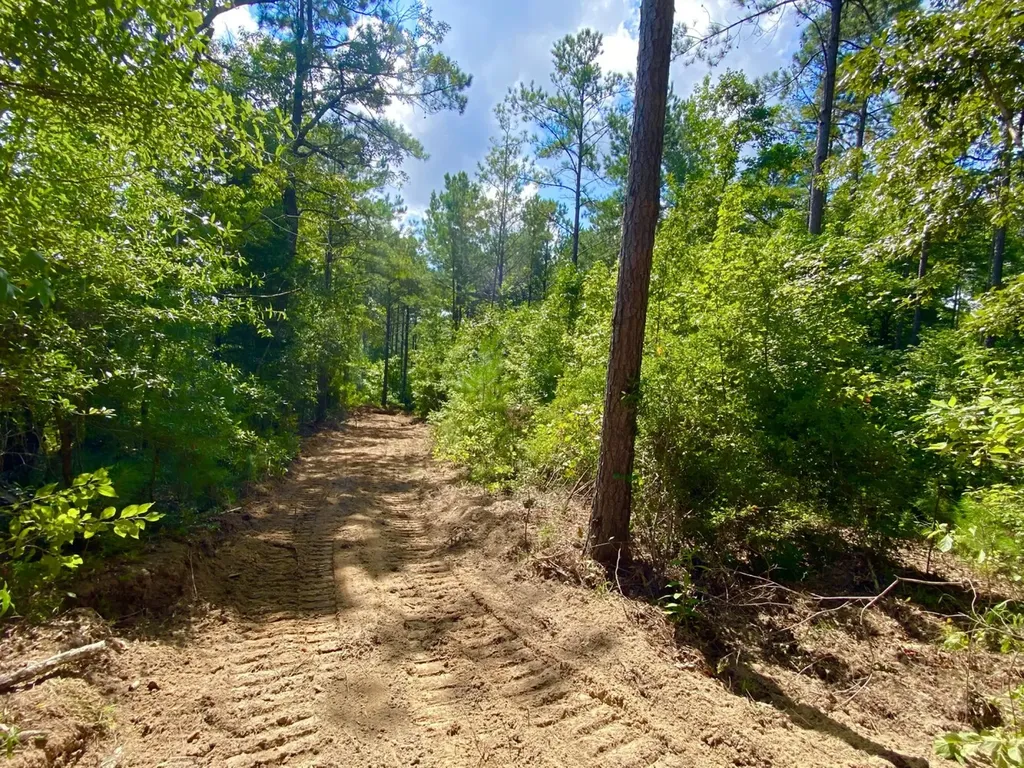 0 Highway 5 Marion AL 36756