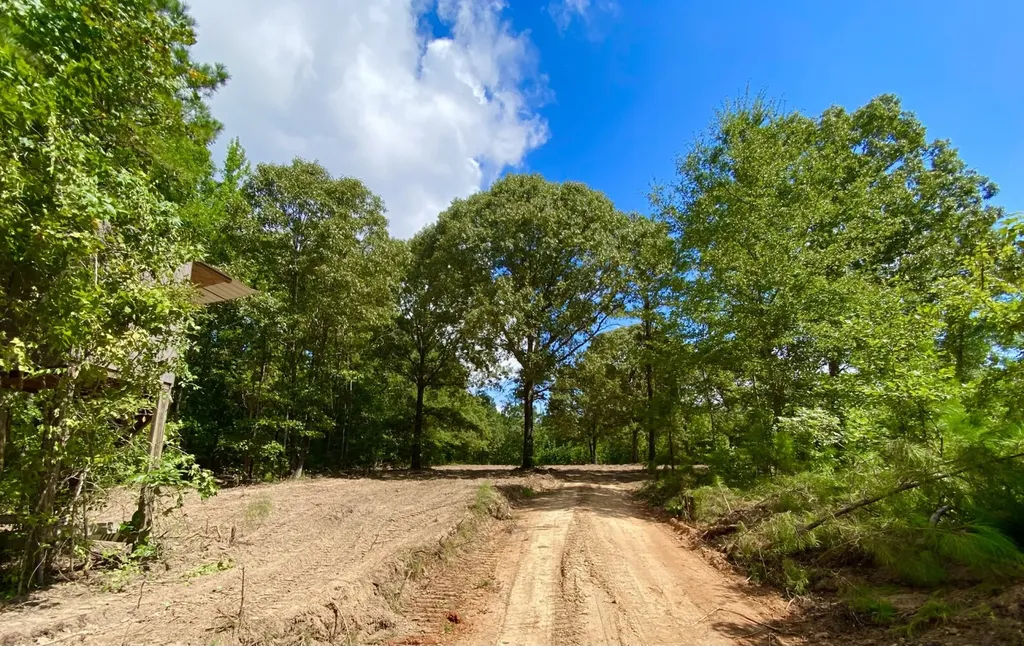 0 Highway 5 Marion AL 36756