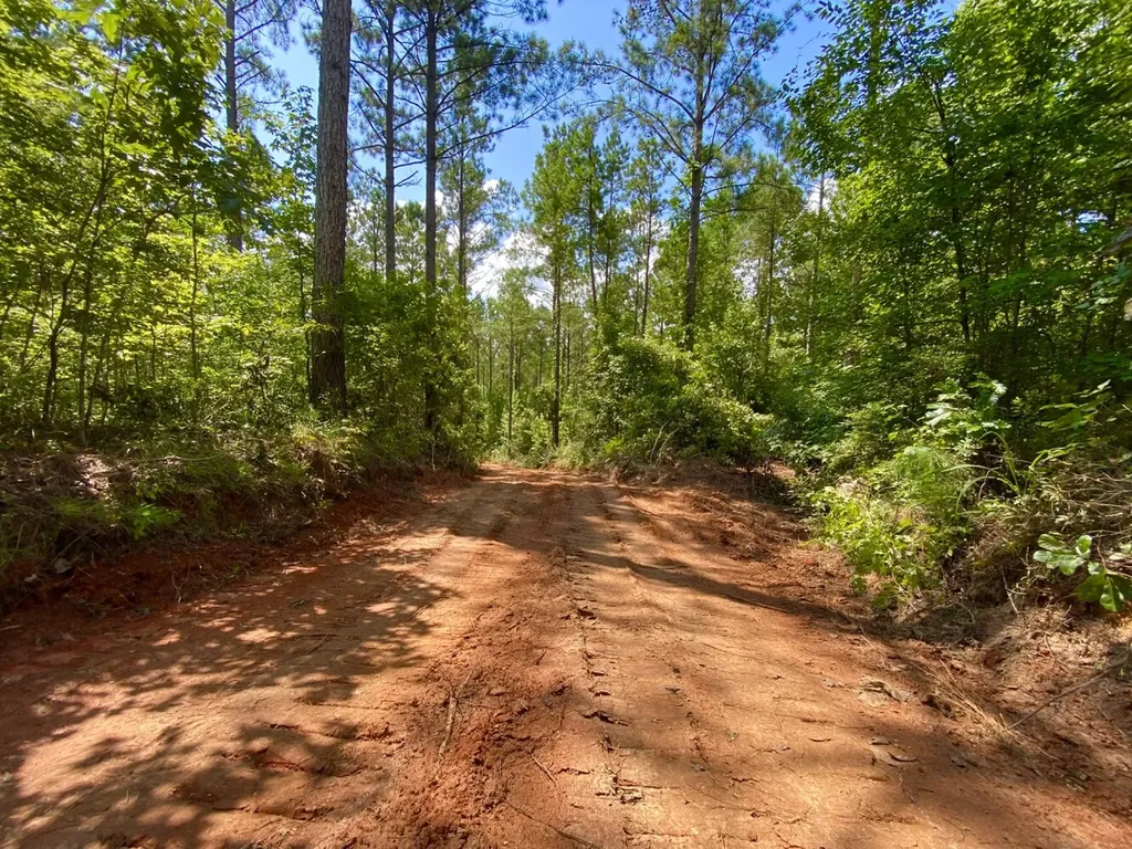 0 Highway 5 Marion AL 36756