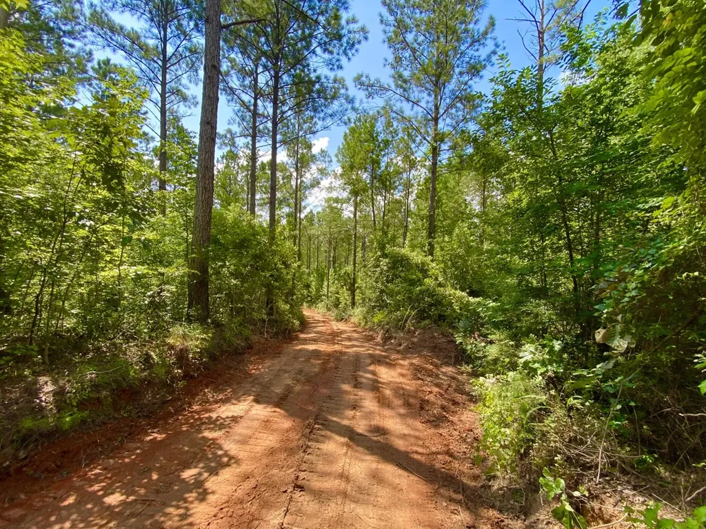 0 Highway 5 Marion AL 36756