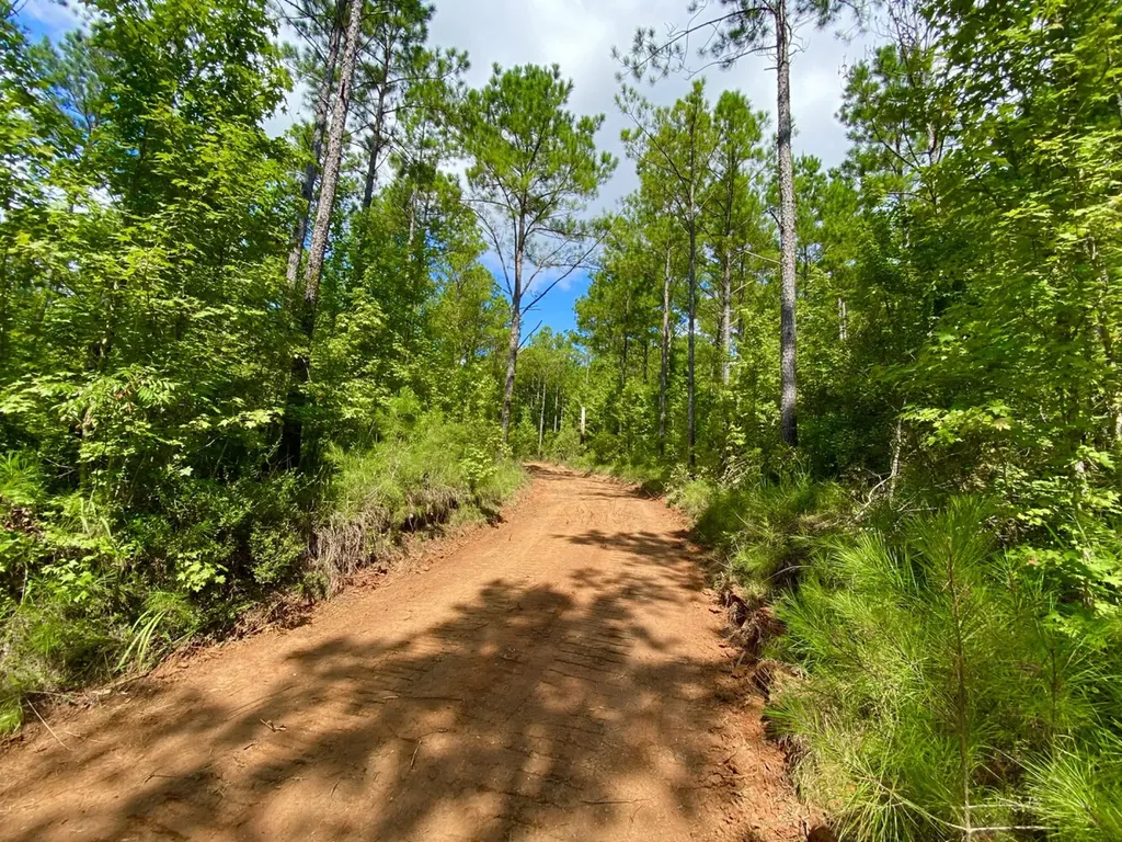 0 Highway 5 Marion AL 36756