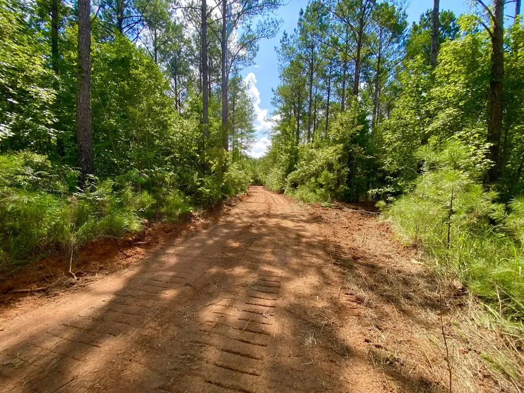 0 Highway 5 Marion AL 36756