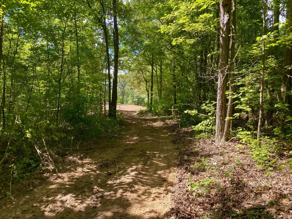 0 Highway 5 Marion AL 36756