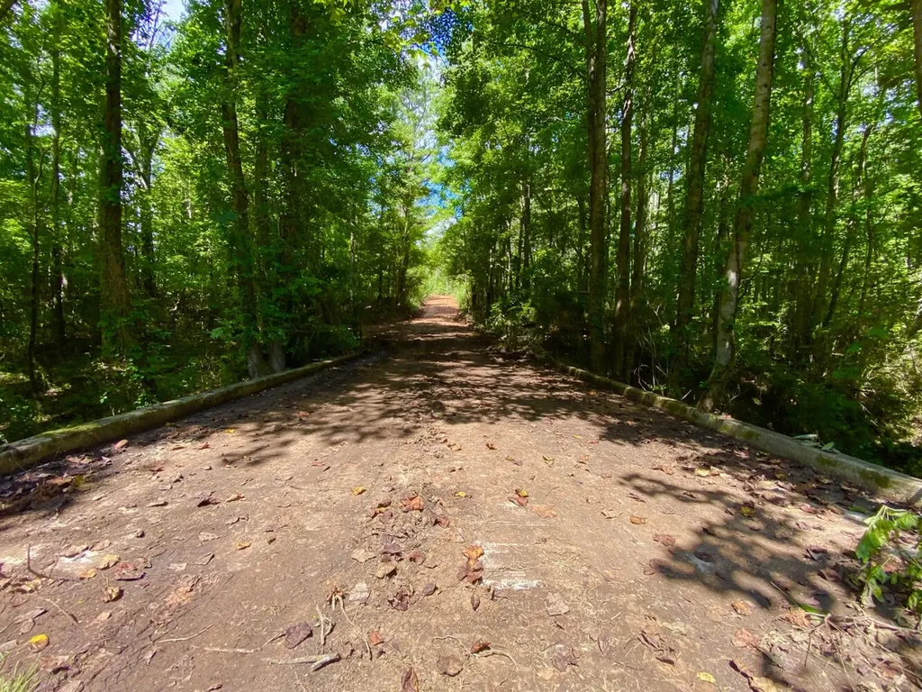 0 Highway 5 Marion AL 36756