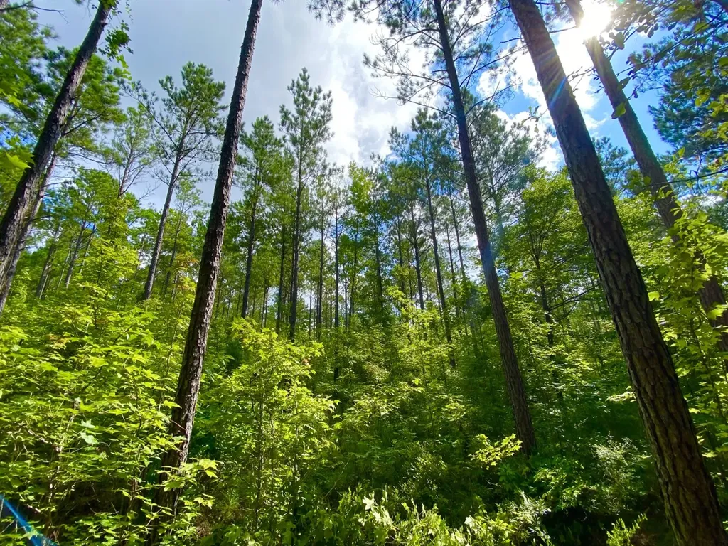 0 Highway 5 Marion AL 36756