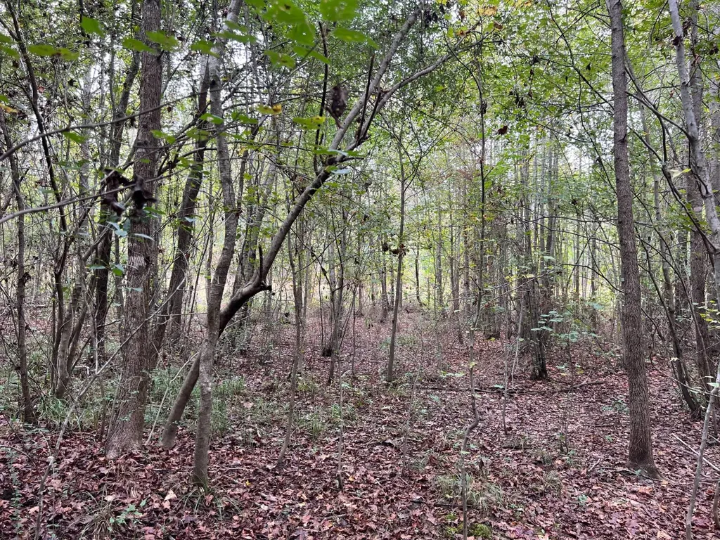 Cr 76 County Road 76 Clanton AL 35045