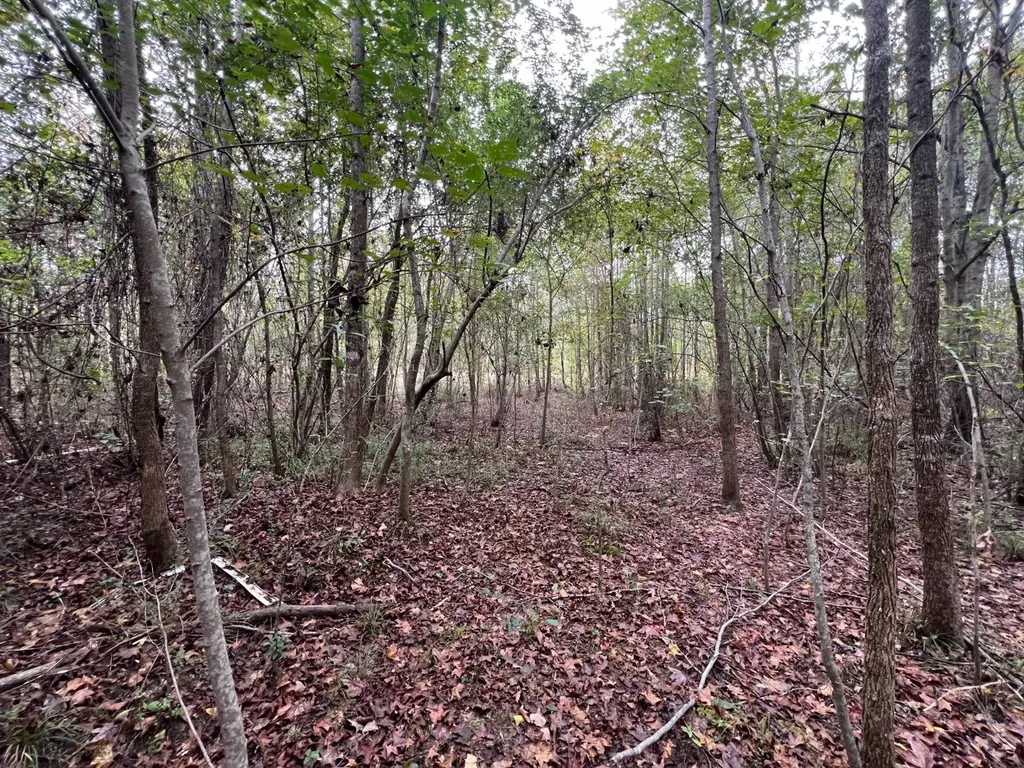 Cr 76 County Road 76 Clanton AL 35045