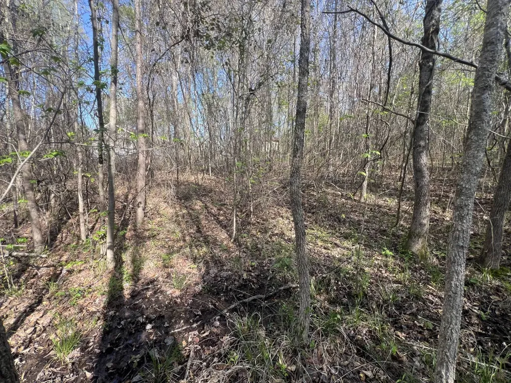 Cr 76 County Road 76 Clanton AL 35045