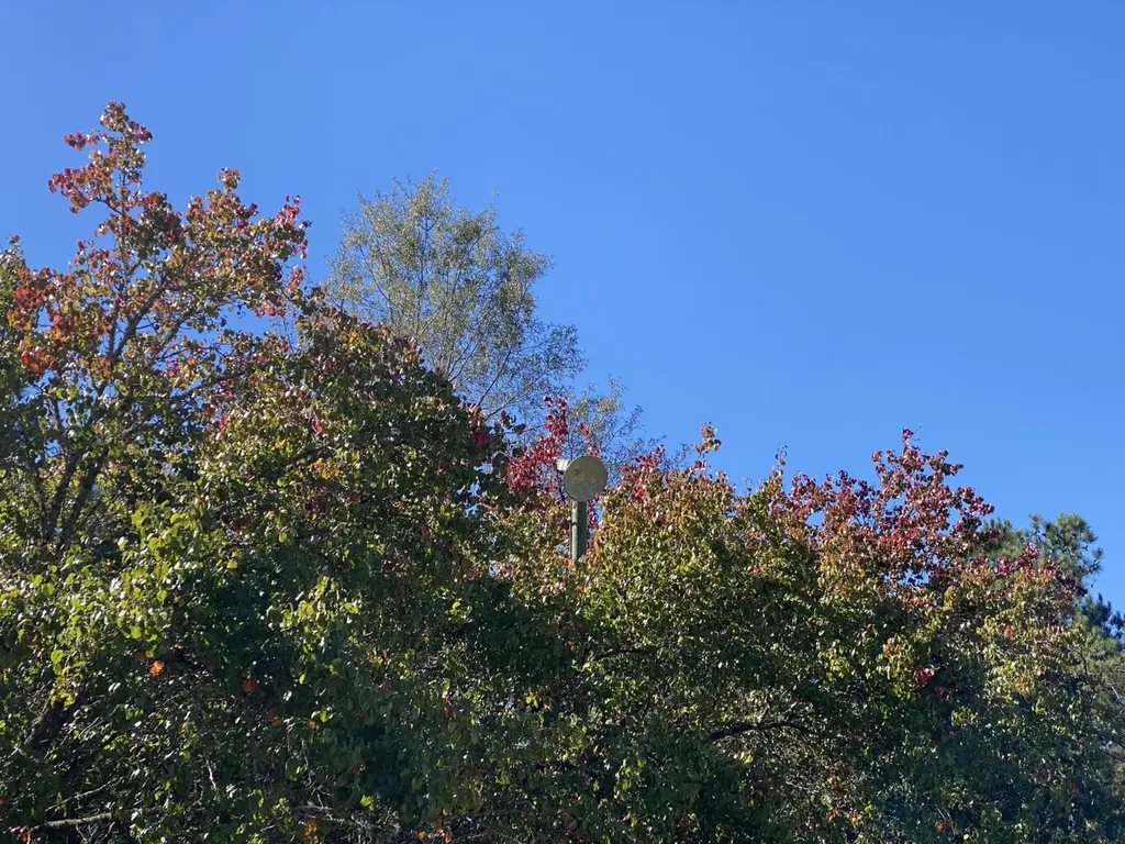 13055 Wares Ferry Road Montgomery AL 36117