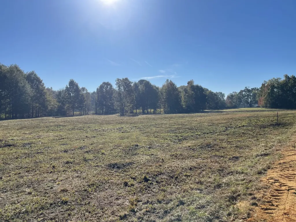 560 Jones River Road Camden AL 36726