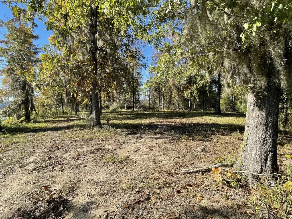 560 Jones River Road Camden AL 36726