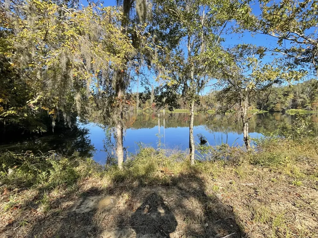 560 Jones River Road Camden AL 36726