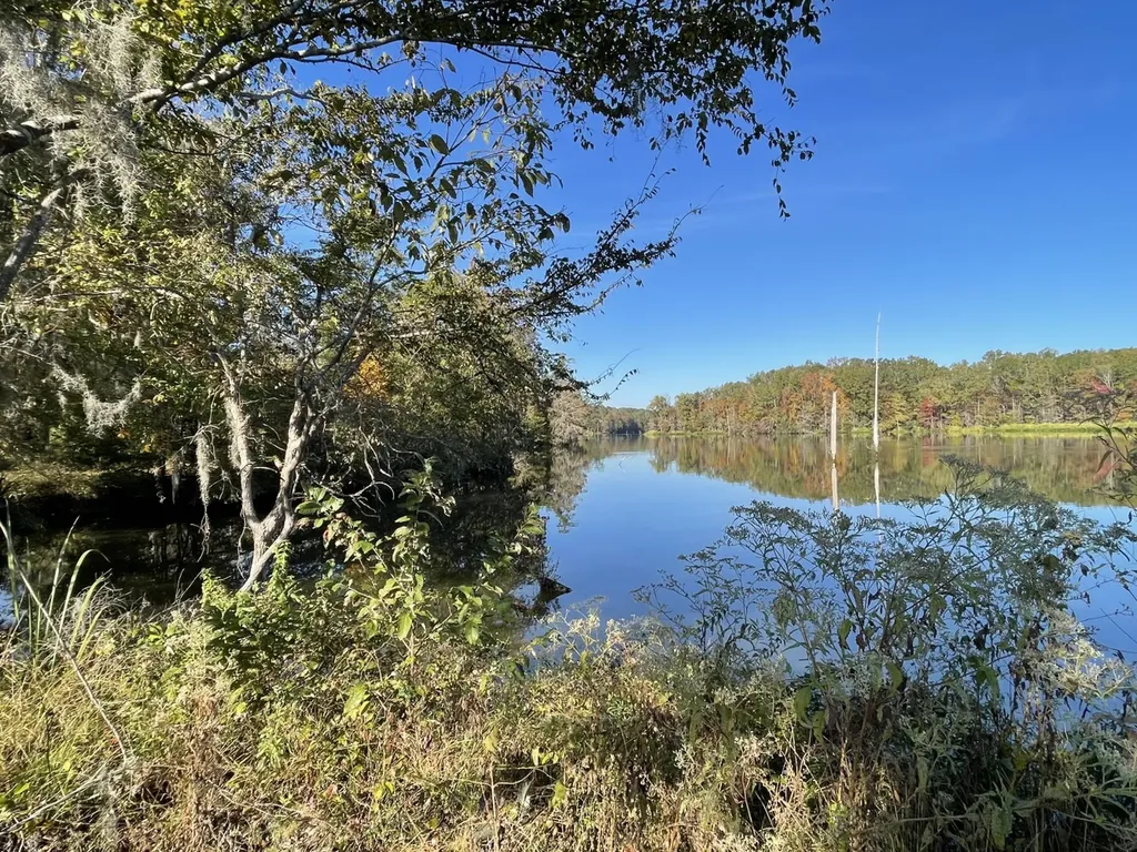 560 Jones River Road Camden AL 36726