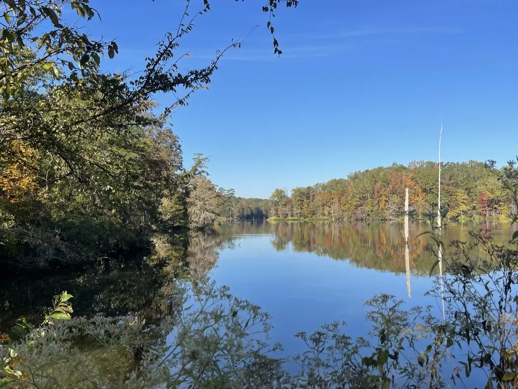 560 Jones River Road Camden AL 36726