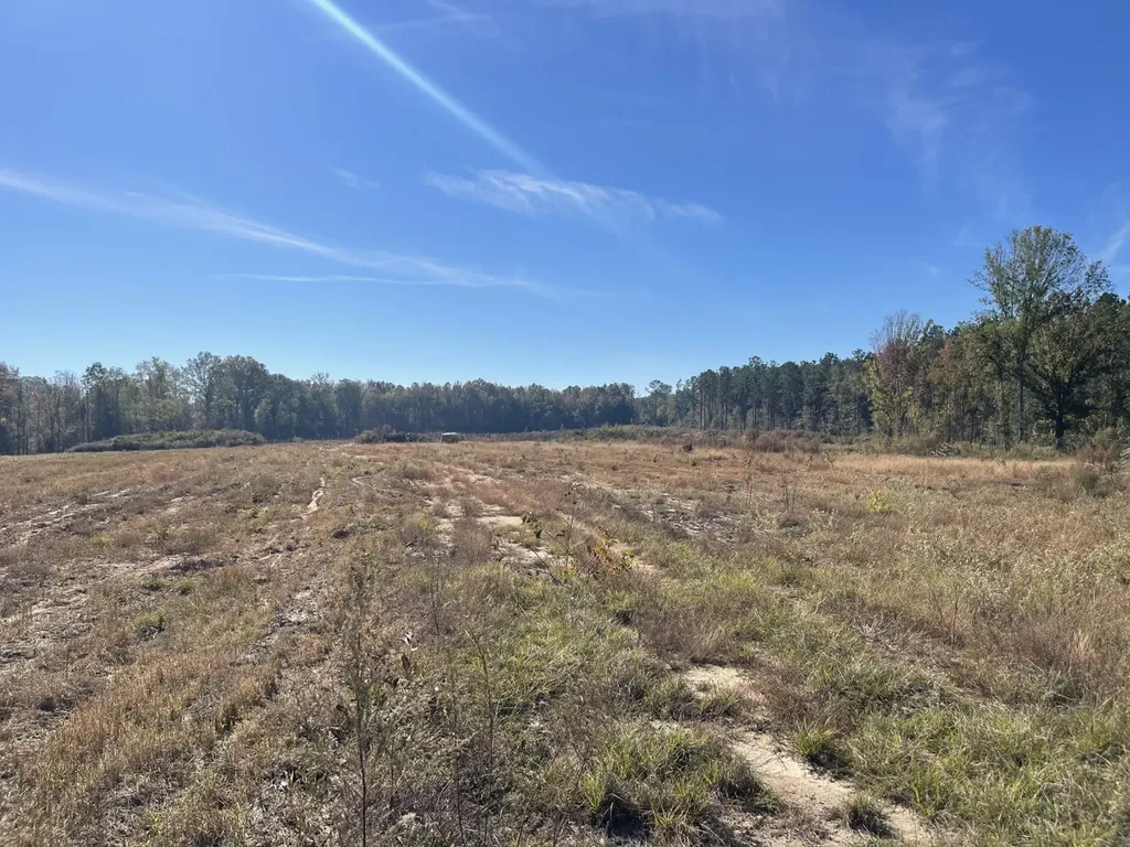 560 Jones River Road Camden AL 36726