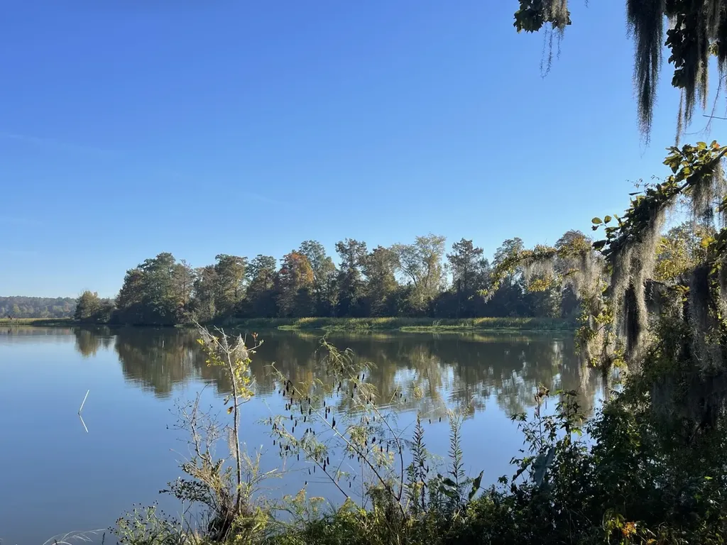560 Jones River Road Camden AL 36726
