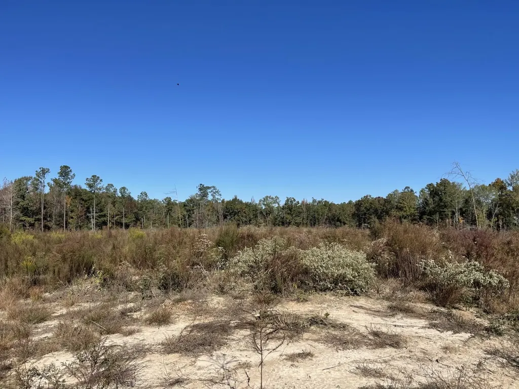 560 Jones River Road Camden AL 36726