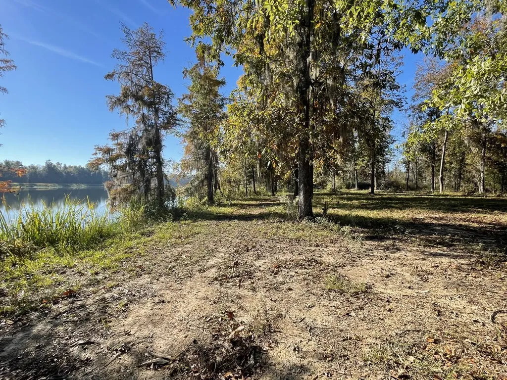 560 Jones River Road Camden AL 36726