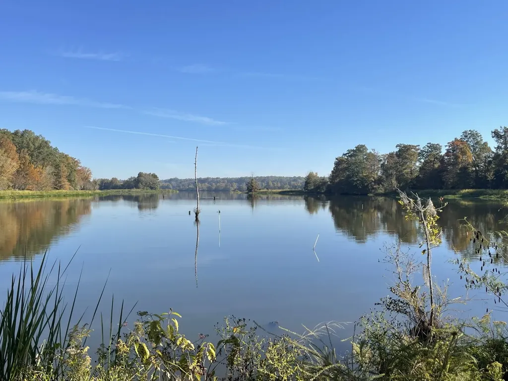 560 Jones River Road Camden AL 36726