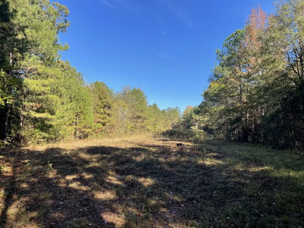 560 Jones River Road Camden AL 36726