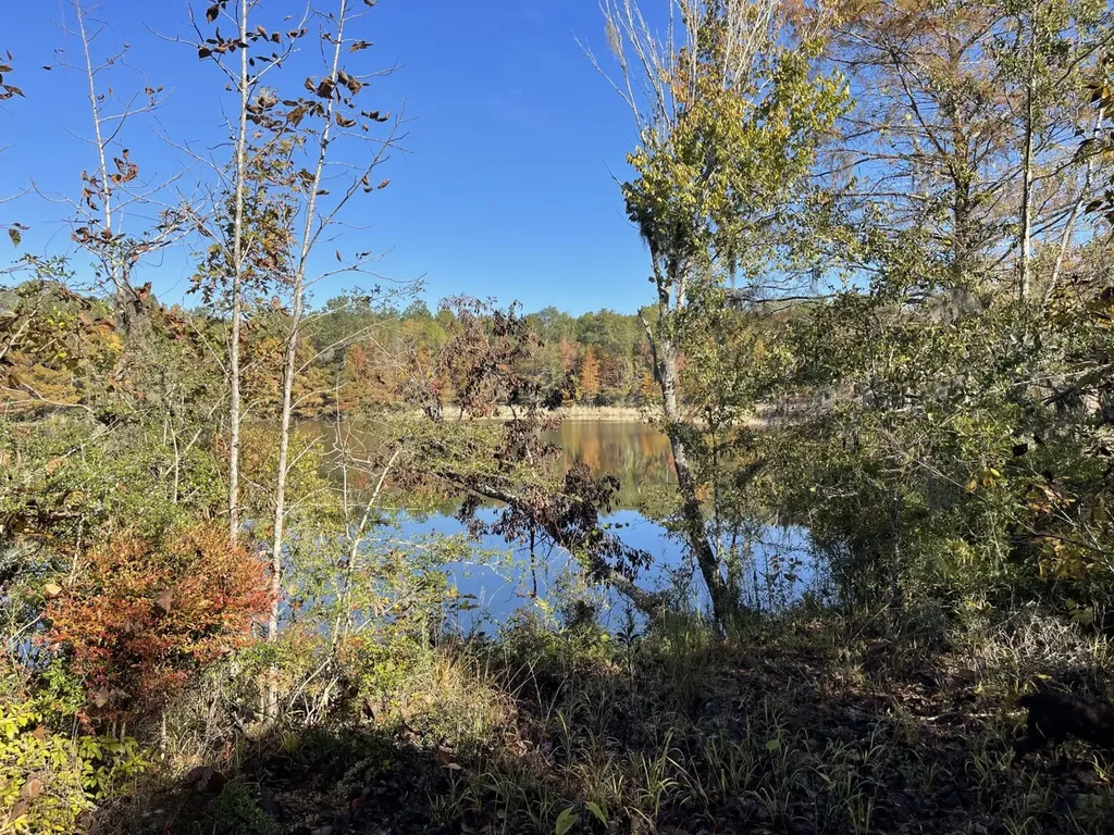 560 Jones River Road Camden AL 36726