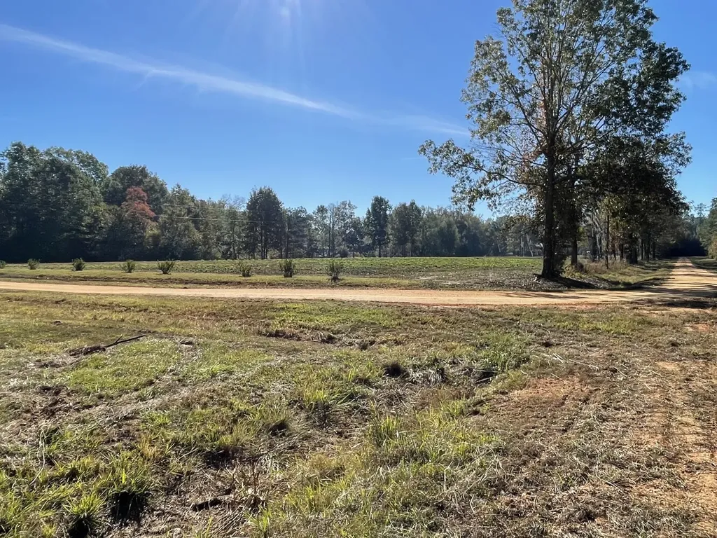 560 Jones River Road Camden AL 36726