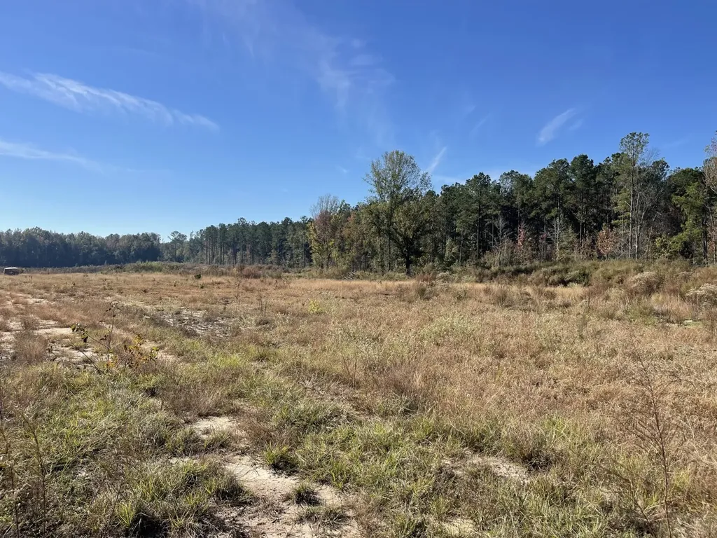 560 Jones River Road Camden AL 36726