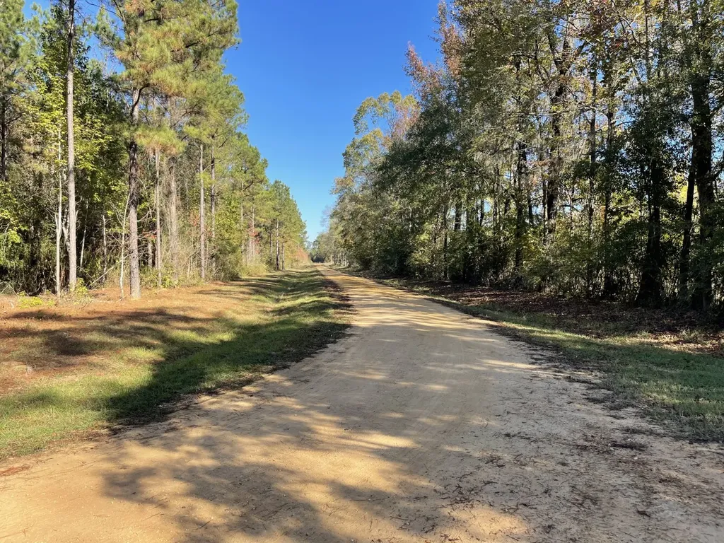560 Jones River Road Camden AL 36726