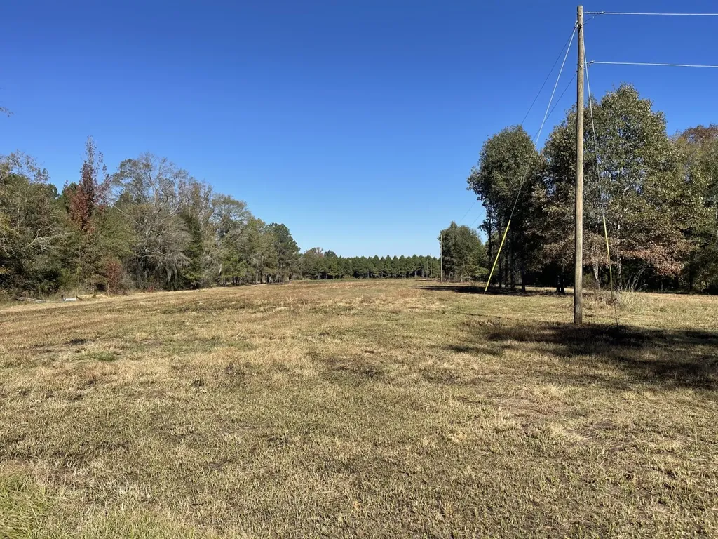 560 Jones River Road Camden AL 36726