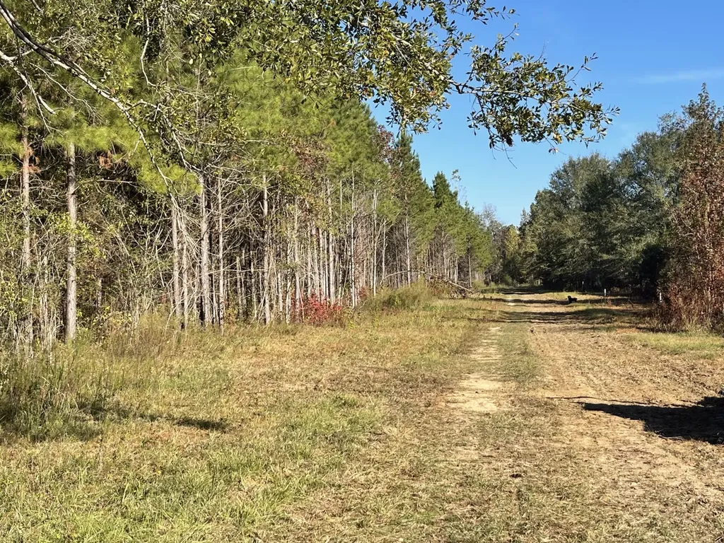 560 Jones River Road Camden AL 36726