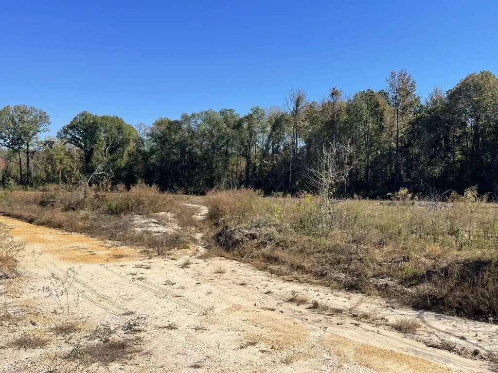 560 Jones River Road Camden AL 36726