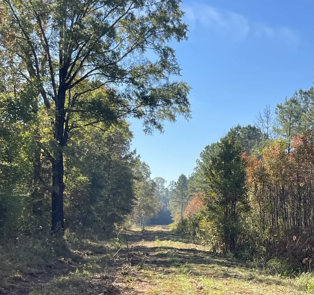 560 Jones River Road Camden AL 36726