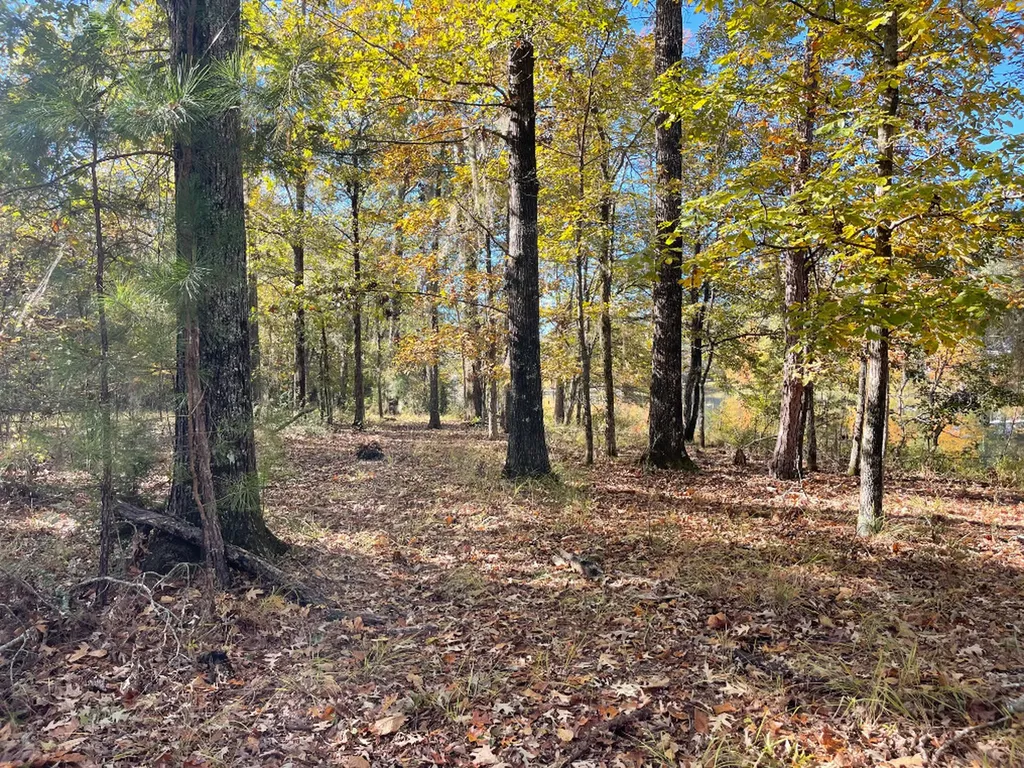 560 Jones River Road Camden AL 36726