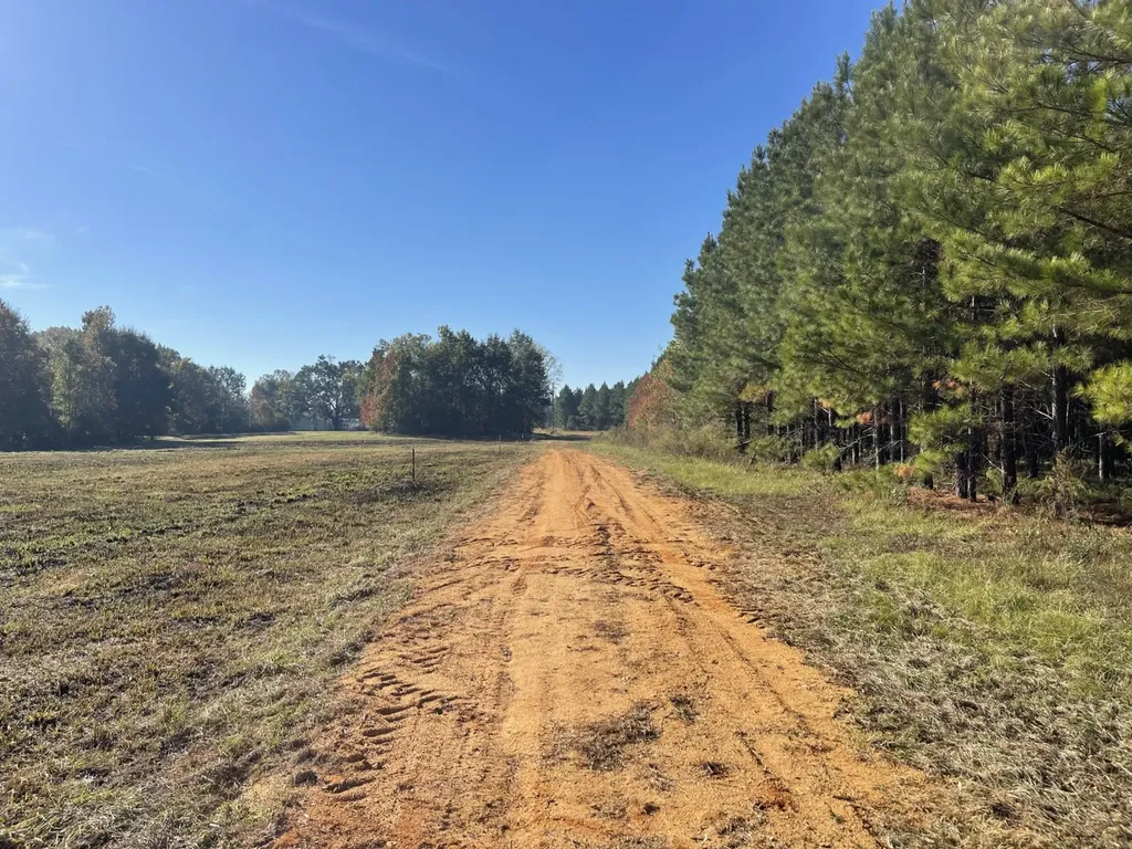 560 Jones River Road Camden AL 36726