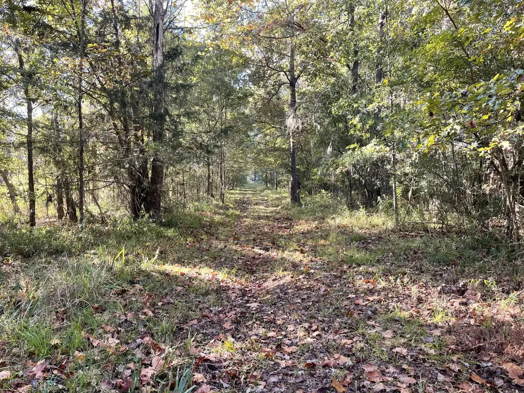 560 Jones River Road Camden AL 36726