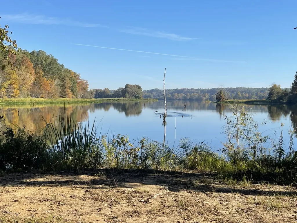 560 Jones River Road Camden AL 36726