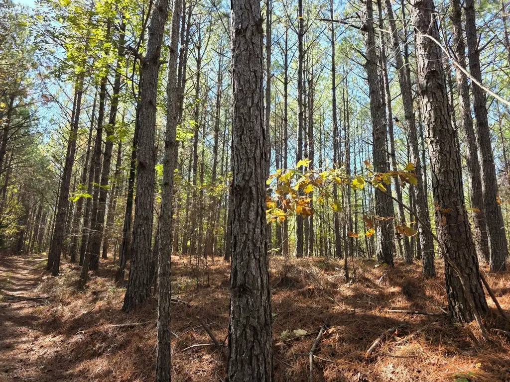 0 Buttahatchee River Highway 278 Hamilton AL 35013