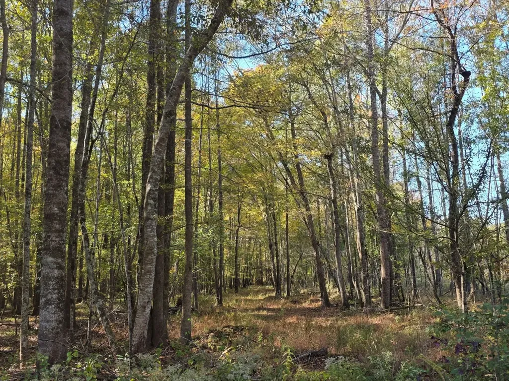 0 Buttahatchee River Highway 278 Hamilton AL 35013