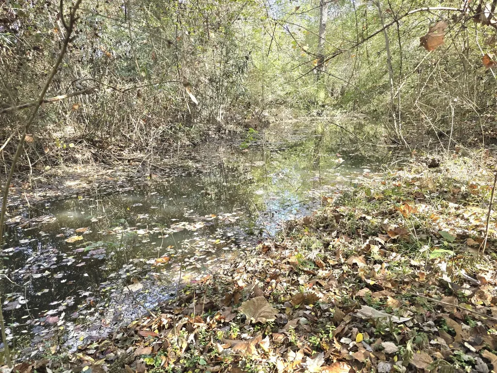 1228 River Road Ariton AL 36311