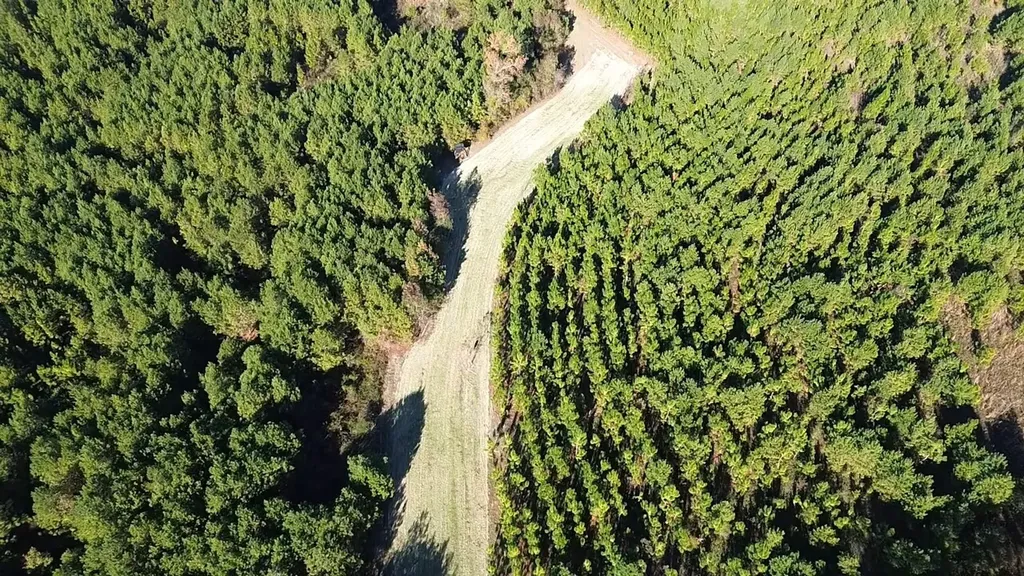 1228 River Road Ariton AL 36311