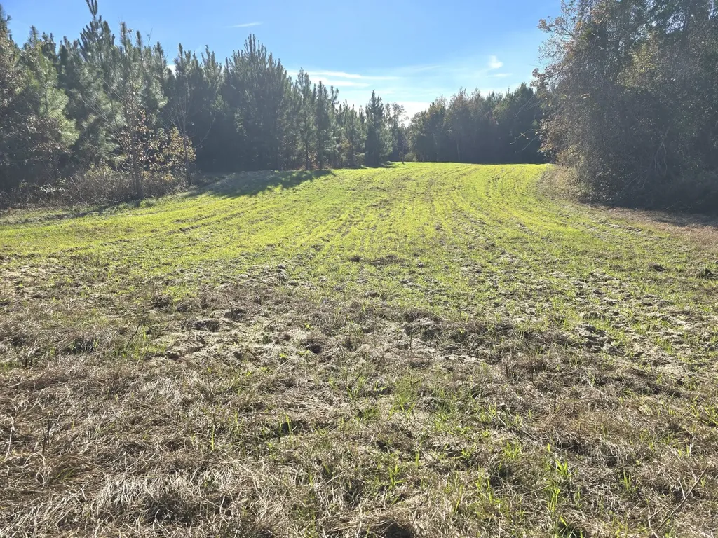 1228 River Road Ariton AL 36311