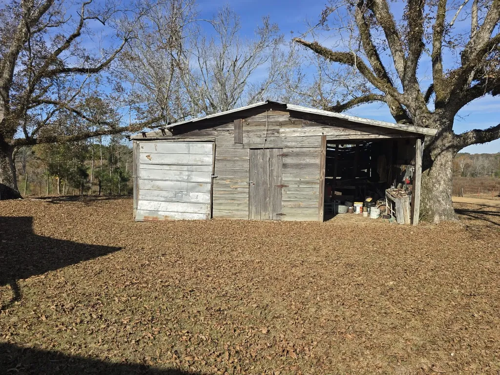 1228 River Road Ariton AL 36311