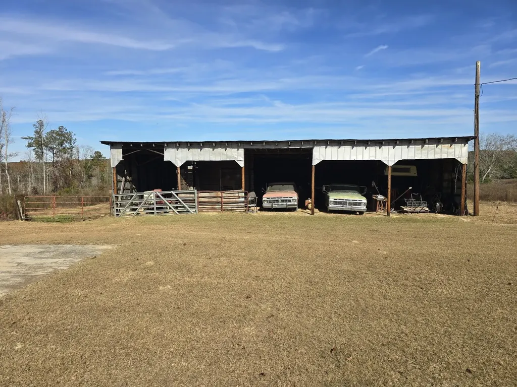 1228 River Road Ariton AL 36311