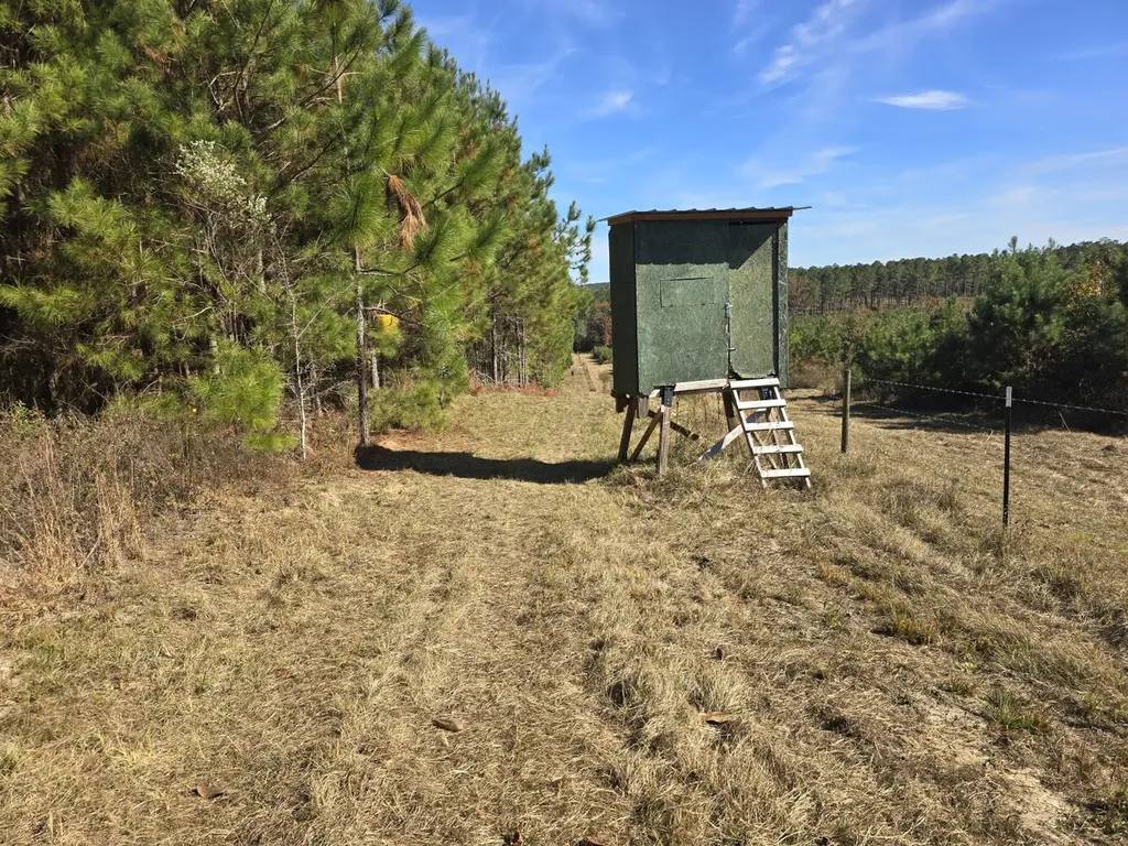 1228 River Road Ariton AL 36311